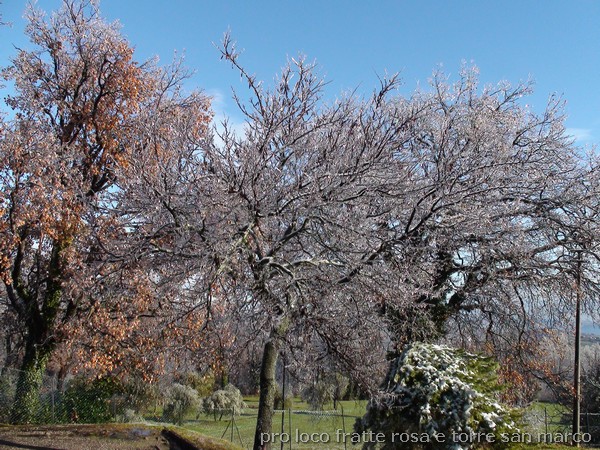 guarda la foto ingrandita