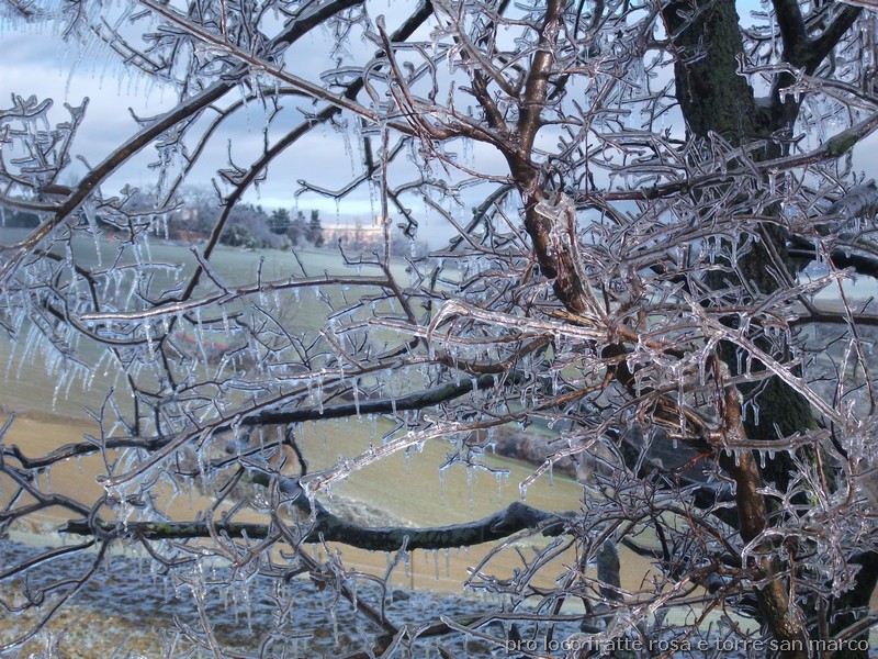 guarda la foto ingrandita